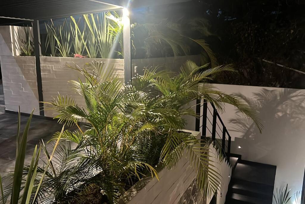 Residencia Corinto La Cima Frac Burgos Bugambilias Villa Temixco Luaran gambar